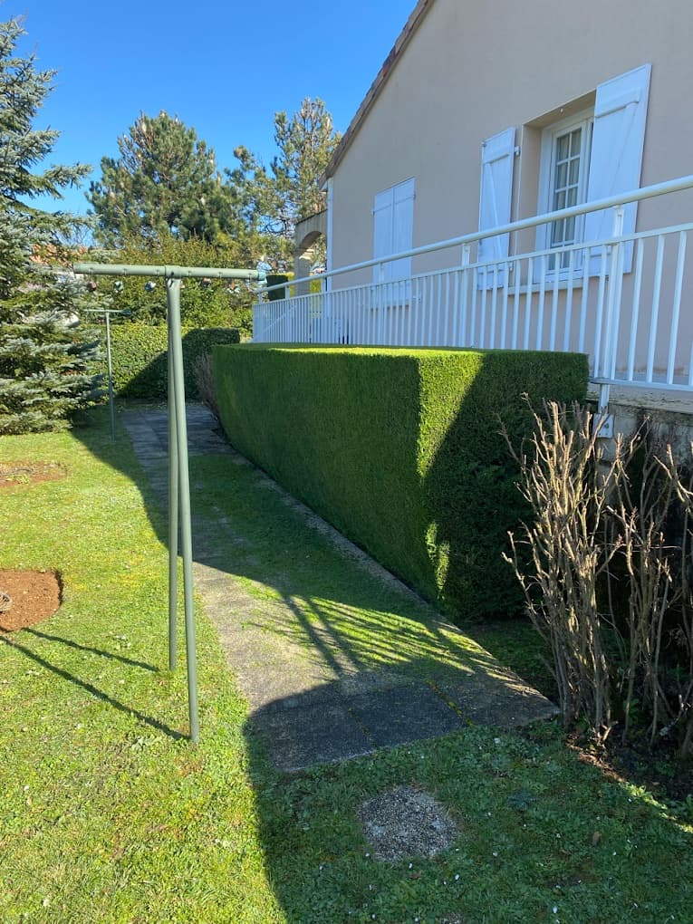 Haie taillée le long d'une terrasse, réalisation Max Entretien Jardin